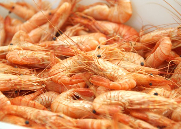 Crevettes entières (500g)